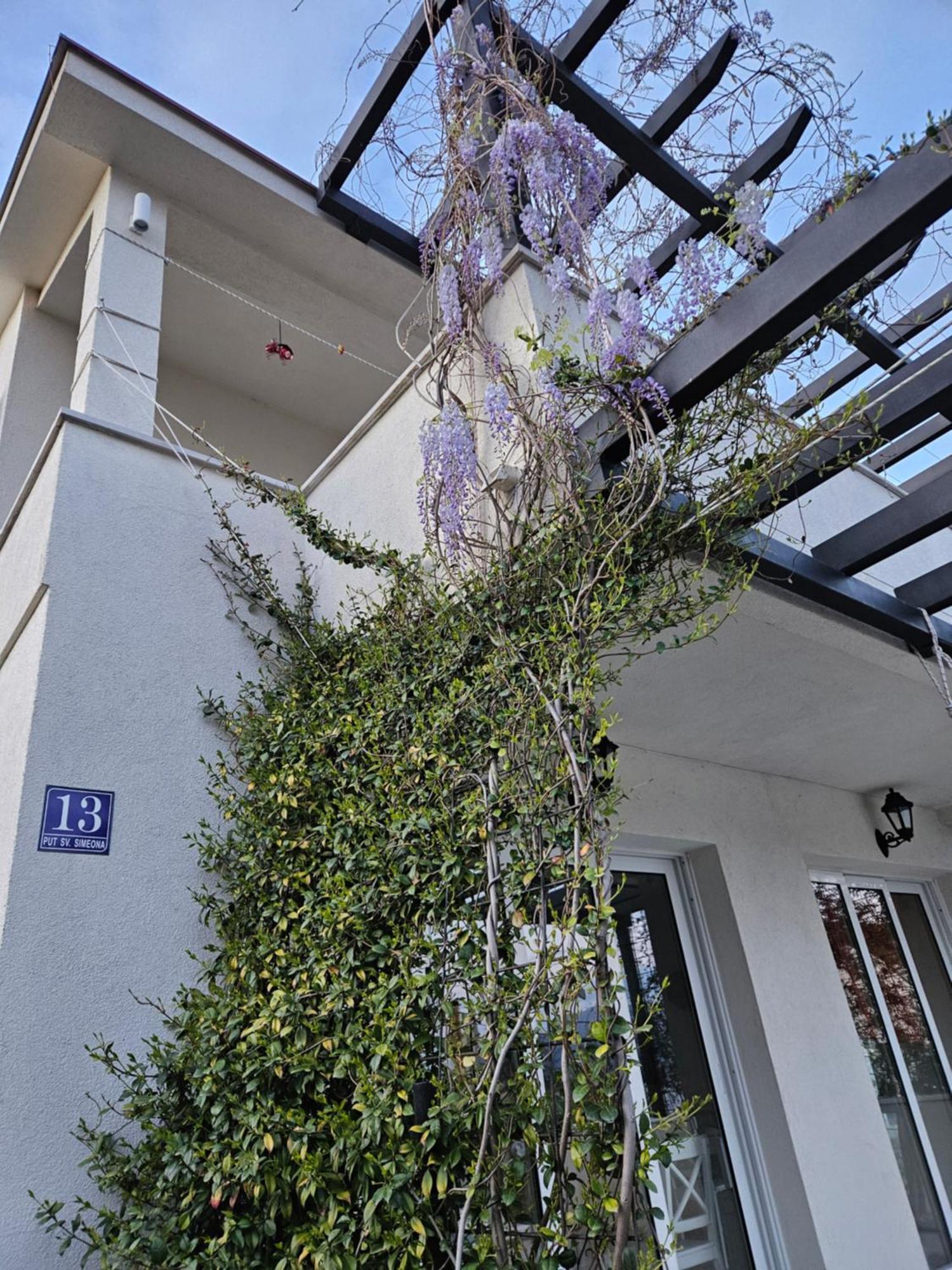 Vanjana Đenovići Exterior photo