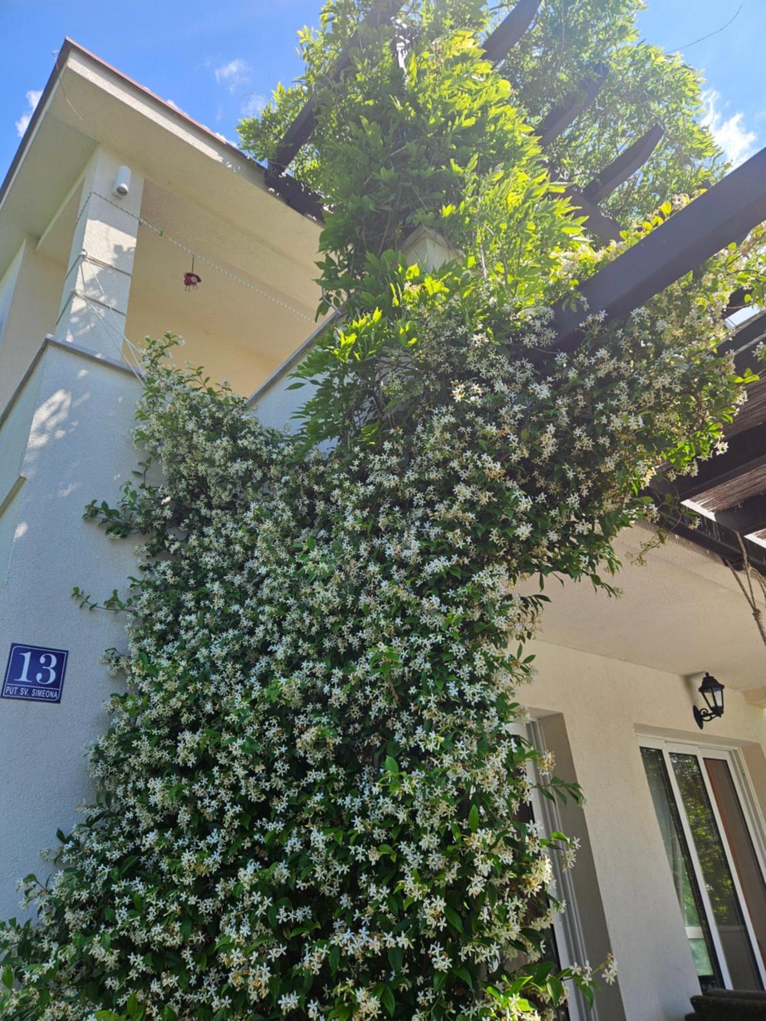 Vanjana Đenovići Exterior photo